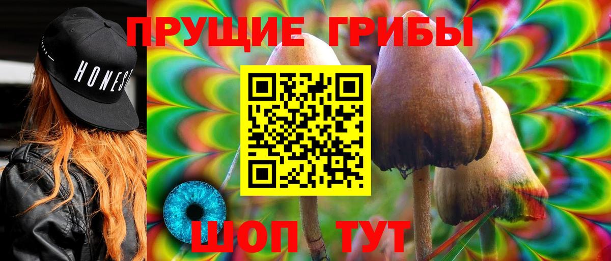 Галлюциногенные грибы ЛСД Отрадный